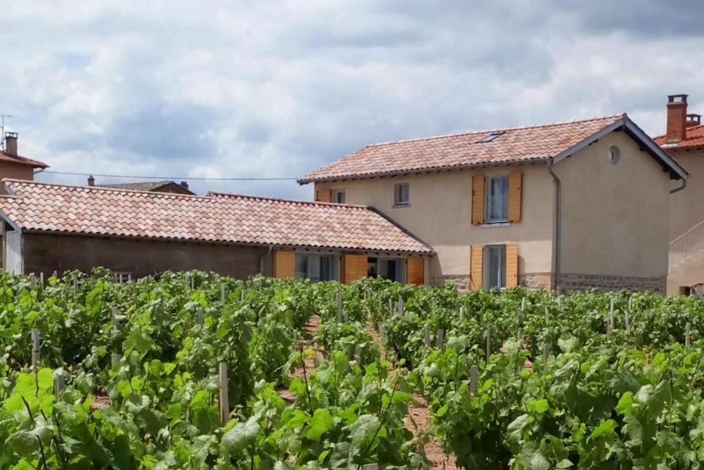 Maison Entiere Au Coeur Des Vignes Des Trois Bacchantes ! Hébergement de vacances *